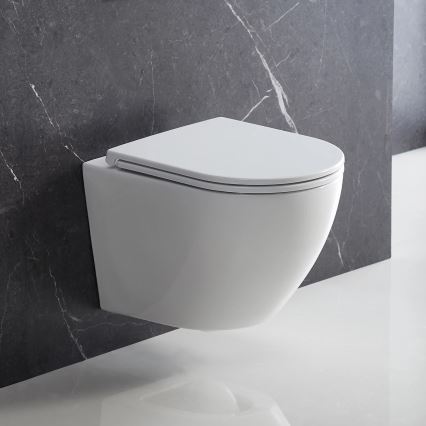 OMNIRES OTTAWADEBP - WC daska SoftClose OTTAWA duroplast/sjajna bela