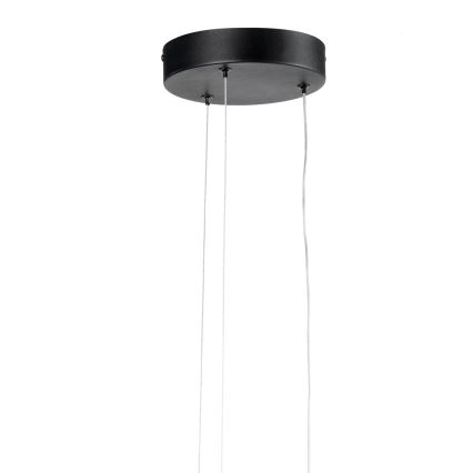 ONLI - LED luster na sajli DAFNE LED/30W/230W 4000K crno