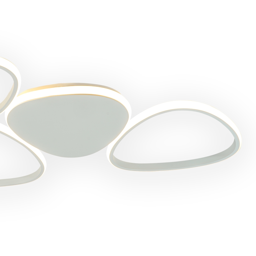 ONLI - LED Plafonjera ROMEO LED/48W/230V 4000K bela