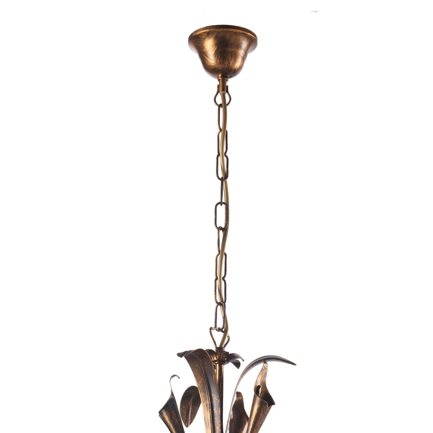 ONLI - Luster na lancu LUCREZIA 5xE14/6W/230V bronzana