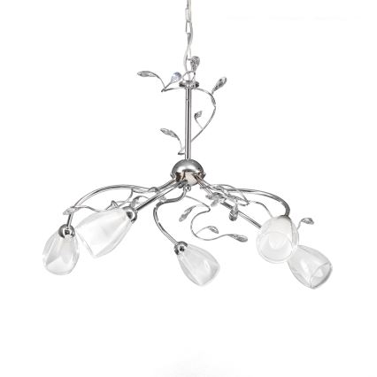ONLI - Luster na lancu SHARON 5xE14/6W/230V
