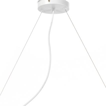 ONLI - Luster na sajli TRIO 3xE14/6W/230V bela