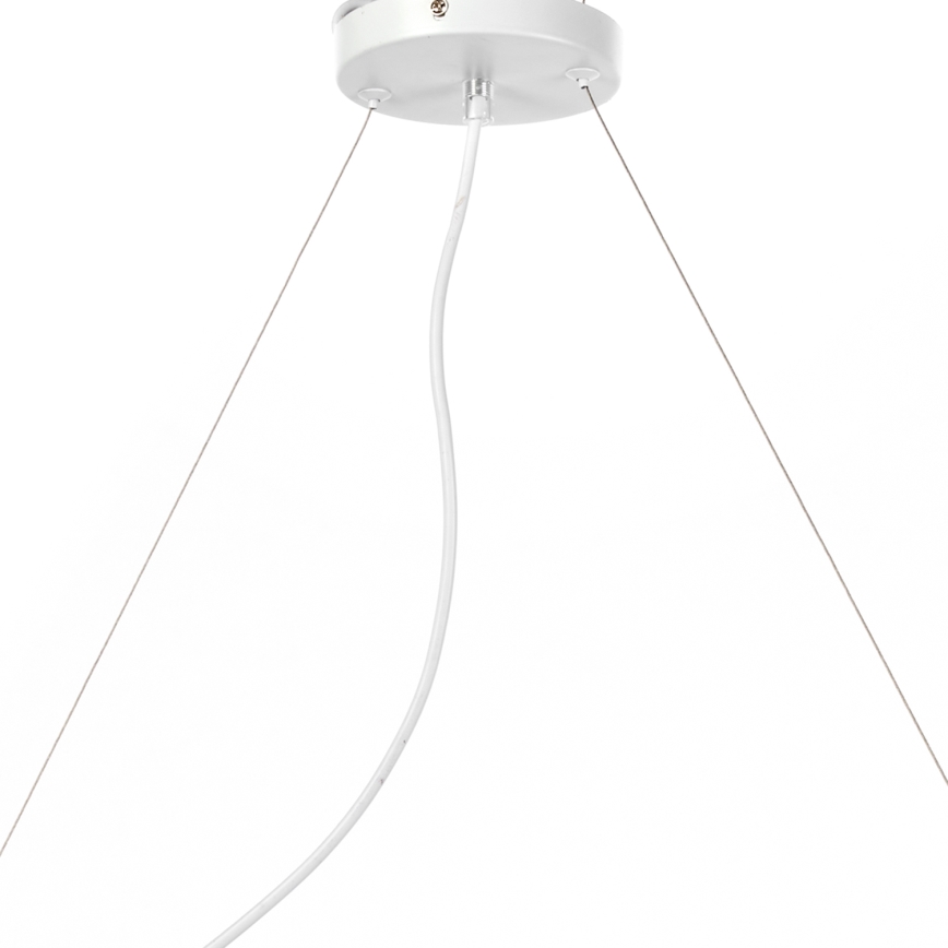 ONLI - Luster na sajli TRIO 3xE14/6W/230V bela
