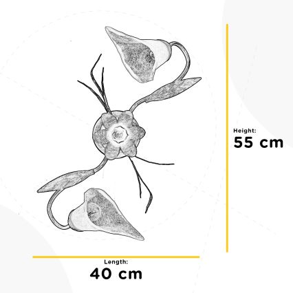 ONLI - Plafonjera ALGA 2xE14/6W/230V bronzana