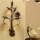ONLI - Zidna lampa ALGA 3xE14/6W/230V bronzana