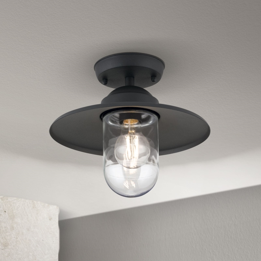 Spoljašnji nadgradni luster EDWARD 1xE27/60W/230V IP44 crno