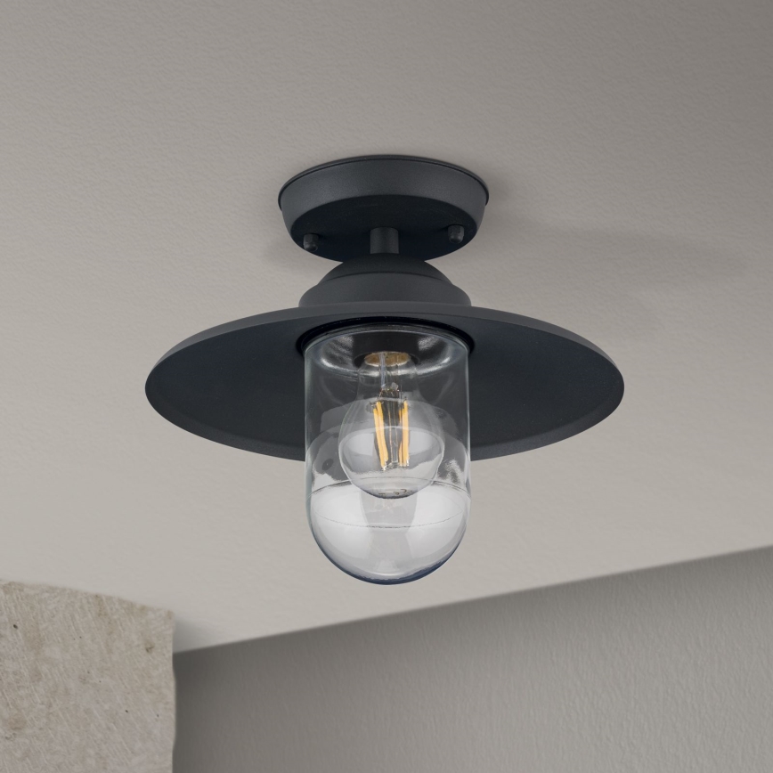 Spoljašnji nadgradni luster EDWARD 1xE27/60W/230V IP44 crno