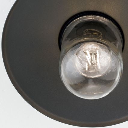 Spoljašnji nadgradni luster EDWARD 1xE27/60W/230V IP44 crno