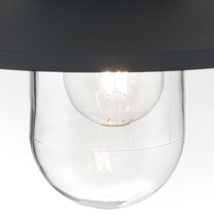 Spoljašnja viseća lampa EDWARD 1xE27/60W/230V IP44 crno