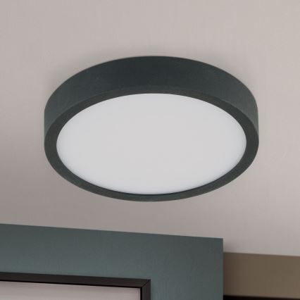 LED Plafonjera BULLY LED/12W/230V pr. 14 cm crno