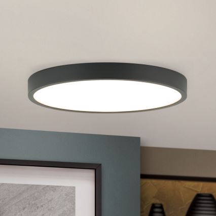 LED Plafonjera BULLY LED/24W/230V pr. 24 cm crno