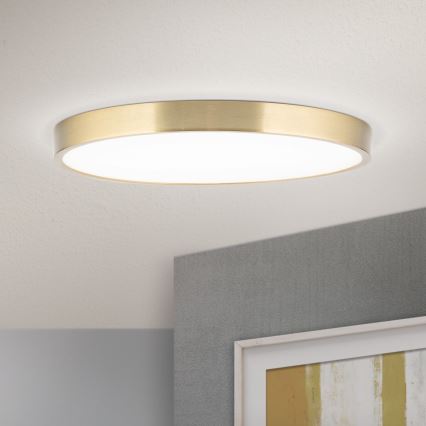 LED Plafonjera BULLY LED/28W/230V pr. 28 cm zlatna