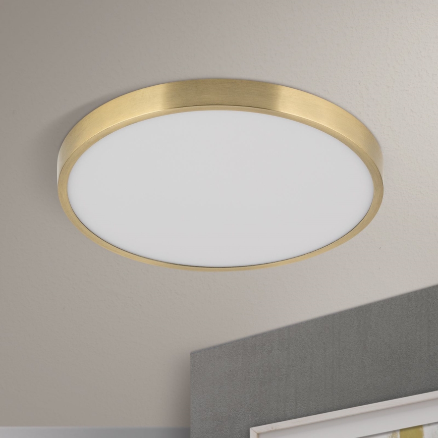 LED Plafonjera BULLY LED/28W/230V pr. 28 cm zlatna