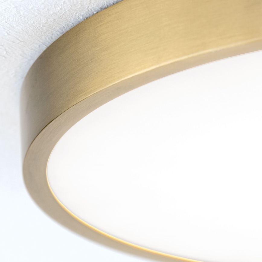 LED Plafonjera BULLY LED/28W/230V pr. 28 cm zlatna