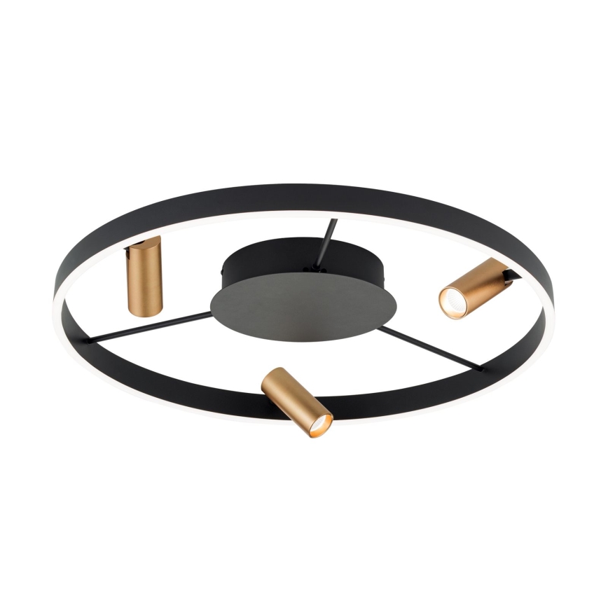 LED Prigušiva plafonjera BERLIN LED/50W/230V crno/zlatna