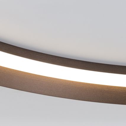 LED Prigušiva plafonjera MANTA LED/38W/230V 2700/3000/4000K pr. 45 cm braon