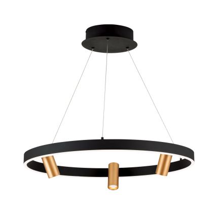 LED Prigušivi luster na sajli BERLIN LED/50W/230V crno/zlatna