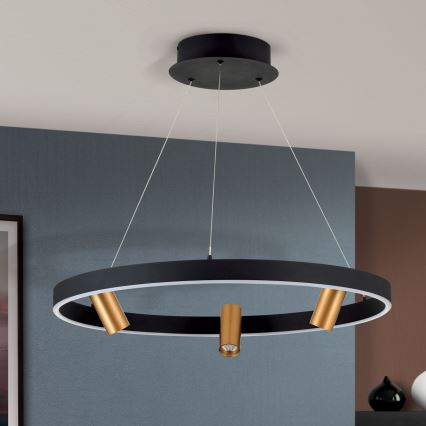 LED Prigušivi luster na sajli BERLIN LED/50W/230V crno/zlatna