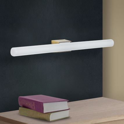 LED Zidna lampa VISAGIST 1xS14d/8W/230V mesing