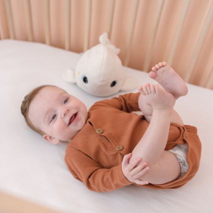 PABOBO - Svetleća plišana igračka sa melodijom BELUGA 3xAAA kit