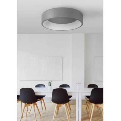 LED Plafonjera KAJI LED/20W/230V