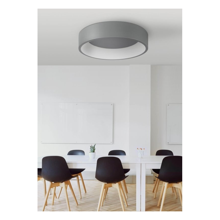 LED Plafonjera KAJI LED/20W/230V