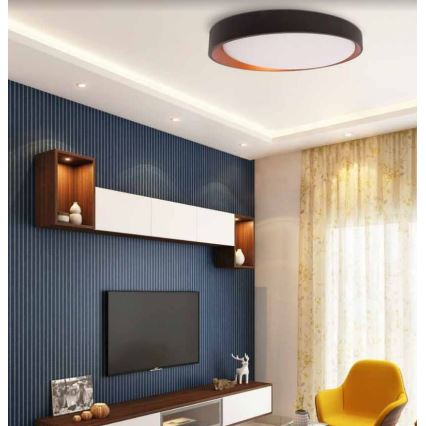 LED Plafonjera ADEL LED/40W/230V ø 50 cm crno