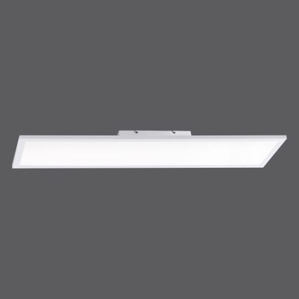 Paul Neuhaus 16533-16-O - LED prigušiva površinski montiran panel FLAT LED/24W/230V 2700-5000K bela + daljinski upravljač