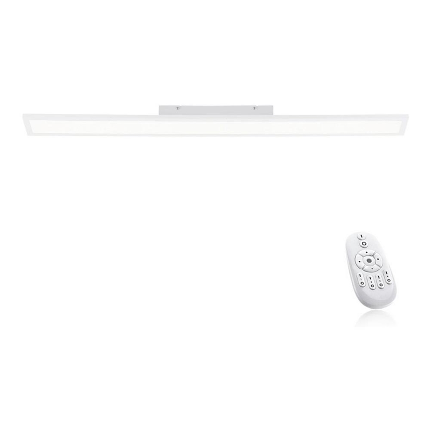 Paul Neuhaus 16537-16-O - LED prigušiva nadgradni panel FLAT LED/21W/230V + daljinski upravljač