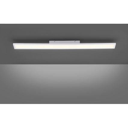 Paul Neuhaus 16537-16-O - LED prigušiva nadgradni panel FLAT LED/21W/230V + daljinski upravljač