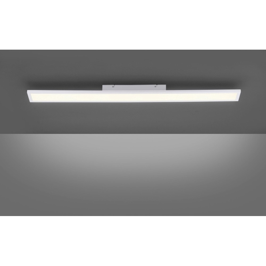 Paul Neuhaus 16537-16-O - LED prigušiva nadgradni panel FLAT LED/21W/230V + daljinski upravljač