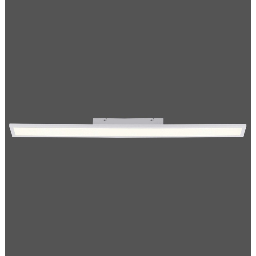 Paul Neuhaus 16537-16-O - LED prigušiva nadgradni panel FLAT LED/21W/230V + daljinski upravljač