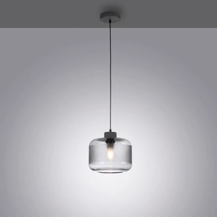 Paul Neuhaus 2005-25 - Luster na sajli BOLETUS 1xE27/10W/230V prečnik 23,5 cm siva