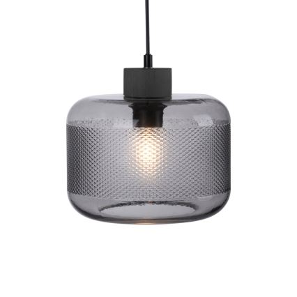 Paul Neuhaus 2005-25 - Luster na sajli BOLETUS 1xE27/10W/230V prečnik 23,5 cm siva