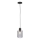 Paul Neuhaus 2006-25 - Luster na sajli BOLETUS 1xE27/10W/230V pr. 14 cm sivo