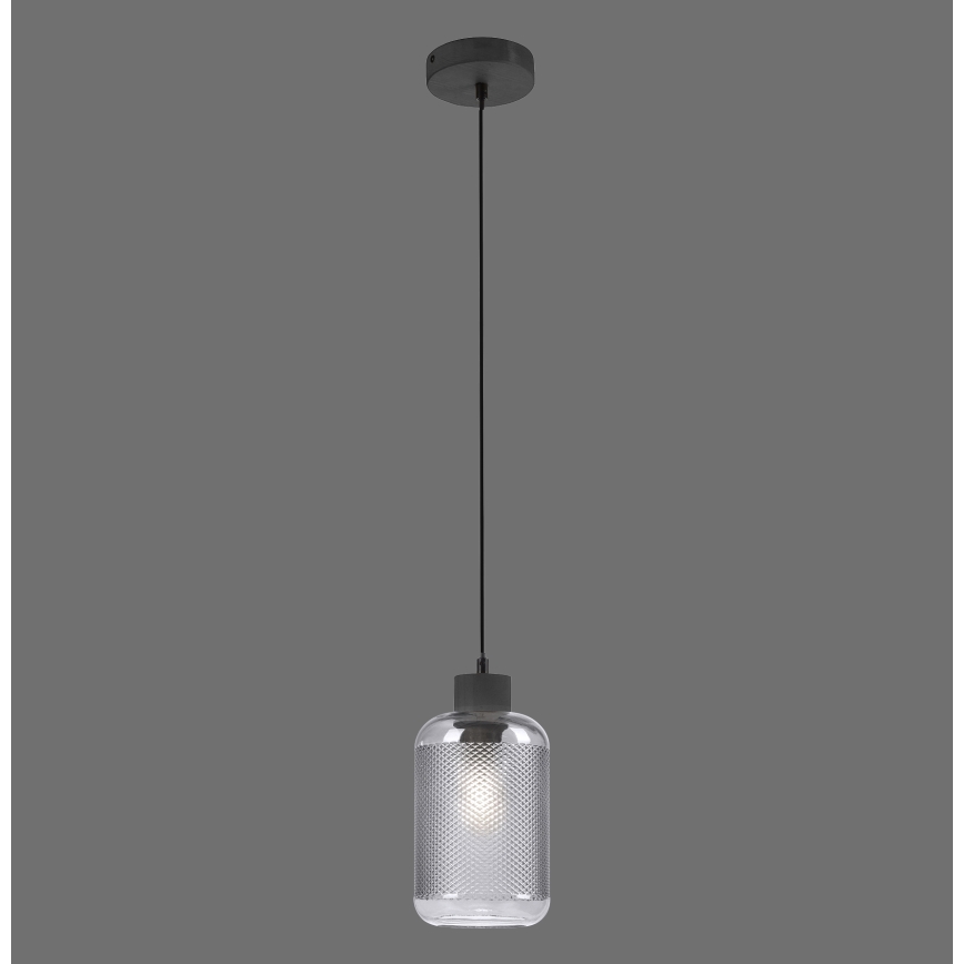 Paul Neuhaus 2006-25 - Luster na sajli BOLETUS 1xE27/10W/230V pr. 14 cm sivo