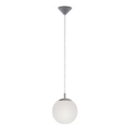 Paul Neuhaus 2072-55 - Luster na sajli BOLO 1xE27/60W/230V pr. 20 cm