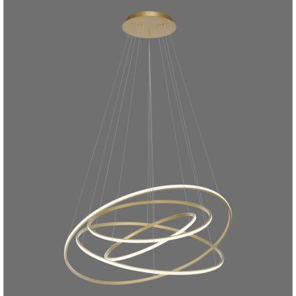 Paul Neuhaus 2124-60 - LED Prigušivi luster na sajli TESSARA LED/97W/230V 2700-5000K + Daljinski upravljač