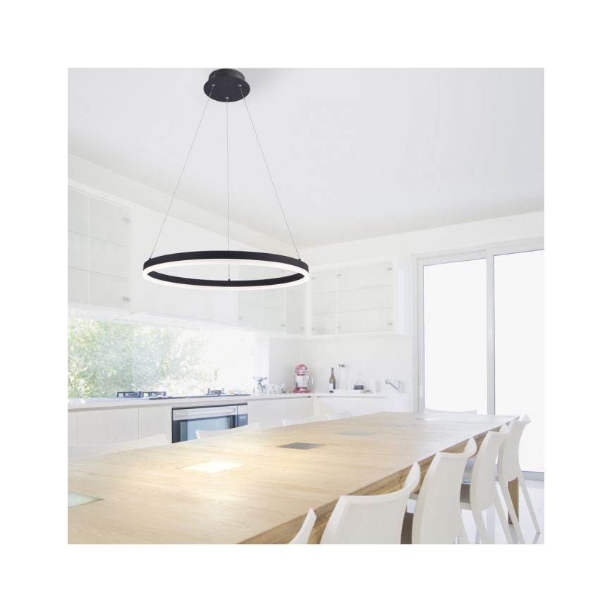 Paul Neuhaus 2382-13 - LED Prigušivi luster na sajli TITUS LED/38,5W/230V