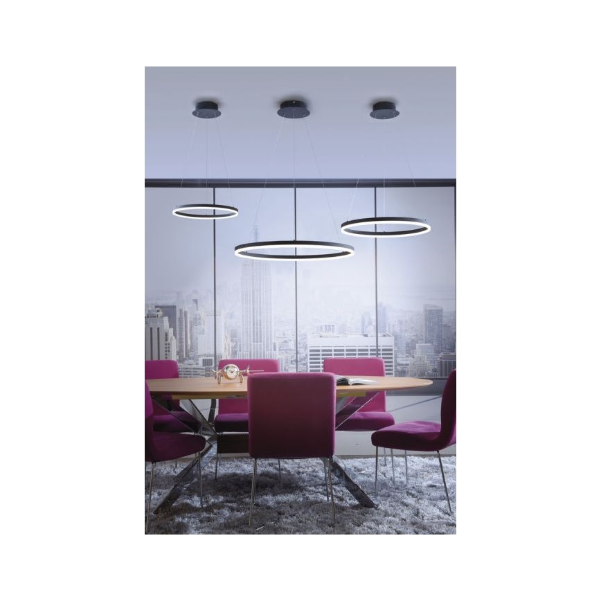 Paul Neuhaus 2382-13 - LED Prigušivi luster na sajli TITUS LED/38,5W/230V