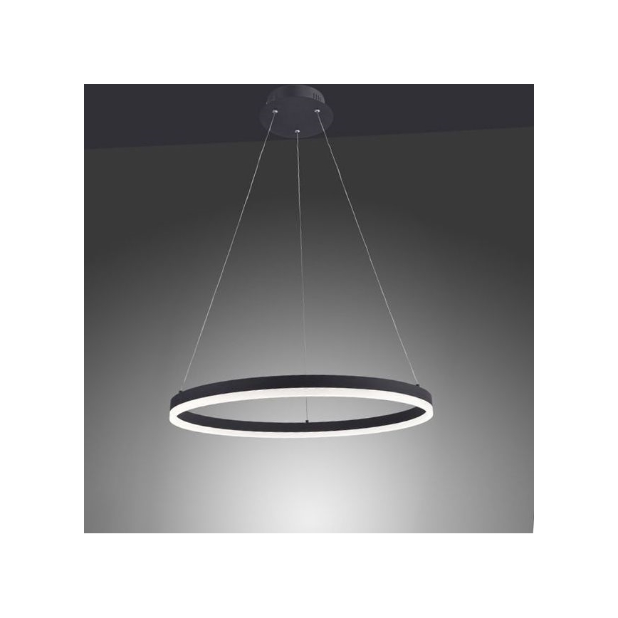Paul Neuhaus 2382-13 - LED Prigušivi luster na sajli TITUS LED/38,5W/230V