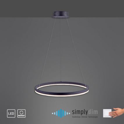 Paul Neuhaus 2382-13 - LED Prigušivi luster na sajli TITUS LED/38,5W/230V