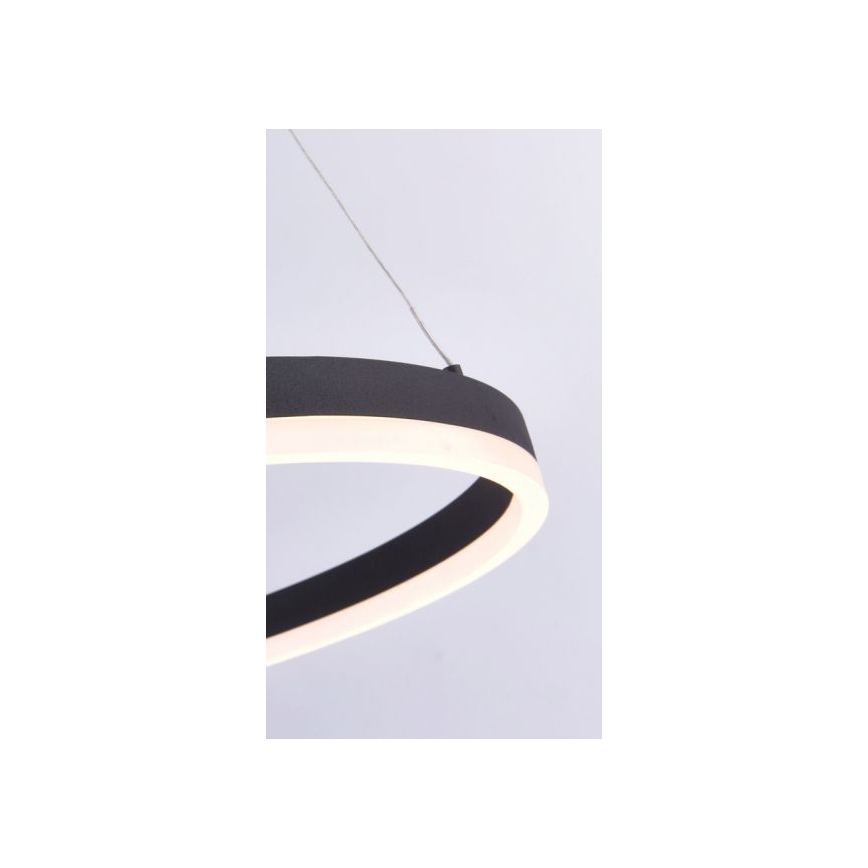 Paul Neuhaus 2382-13 - LED Prigušivi luster na sajli TITUS LED/38,5W/230V