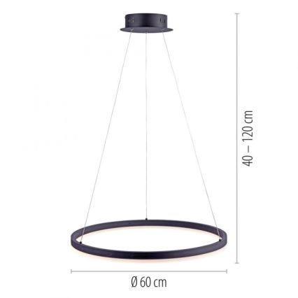 Paul Neuhaus 2382-13 - LED Prigušivi luster na sajli TITUS LED/38,5W/230V