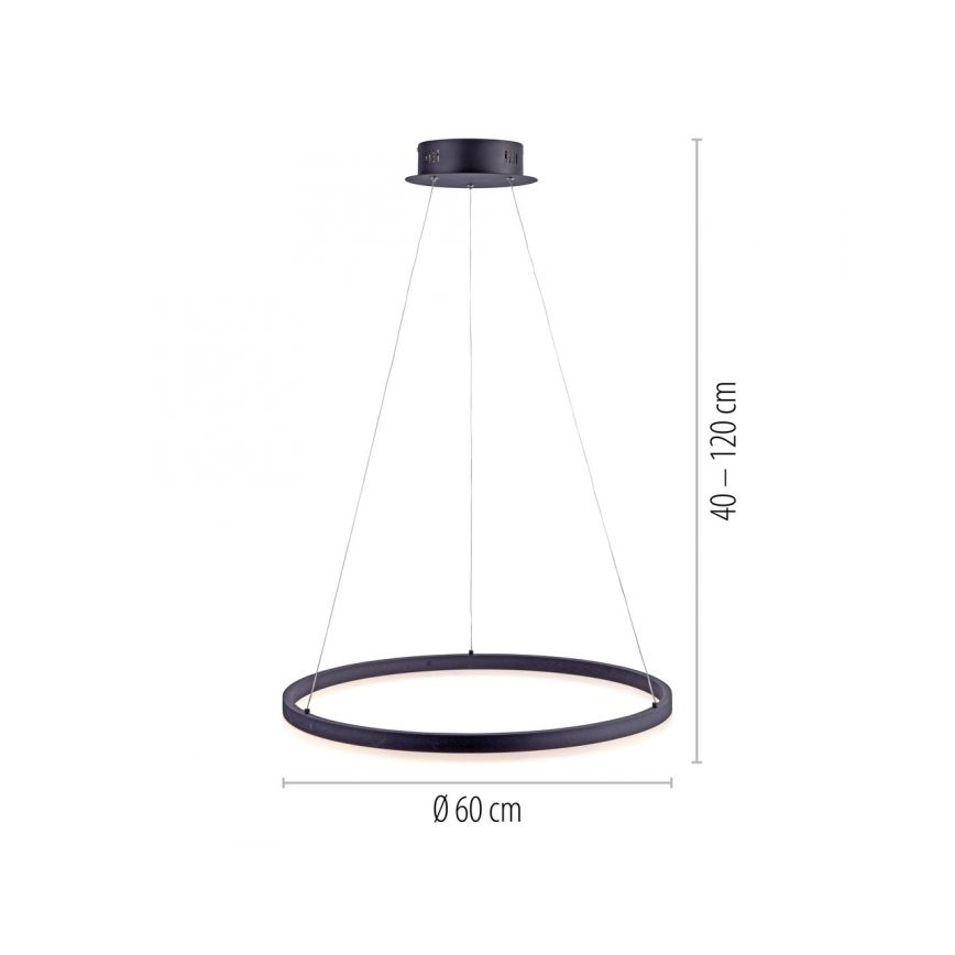 Paul Neuhaus 2382-13 - LED Prigušivi luster na sajli TITUS LED/38,5W/230V