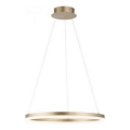 Paul Neuhaus 2382-60 - LED Prigušivi luster na sajli TITUS LED/38,5W/230V
