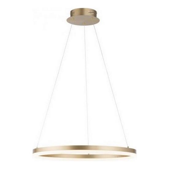 Paul Neuhaus 2382-60 - LED Prigušivi luster na sajli TITUS LED/38,5W/230V