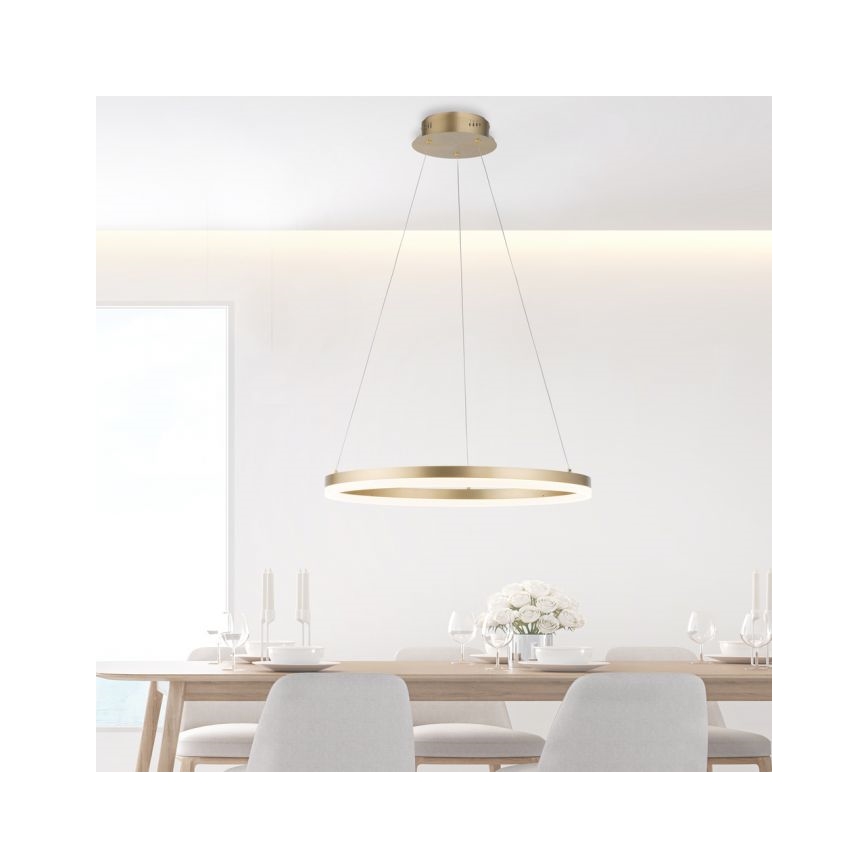 Paul Neuhaus 2382-60 - LED Prigušivi luster na sajli TITUS LED/38,5W/230V