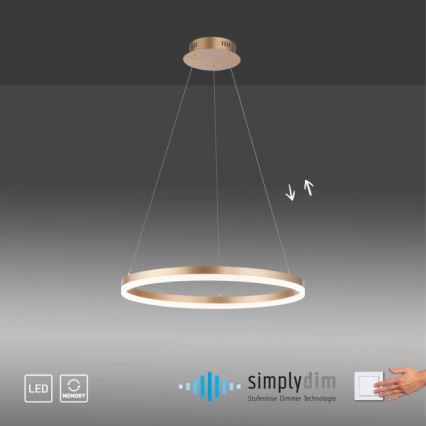 Paul Neuhaus 2382-60 - LED Prigušivi luster na sajli TITUS LED/38,5W/230V