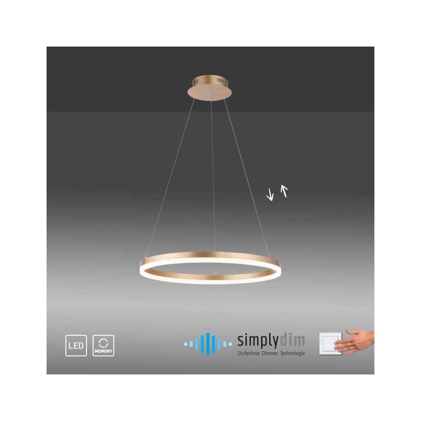 Paul Neuhaus 2382-60 - LED Prigušivi luster na sajli TITUS LED/38,5W/230V